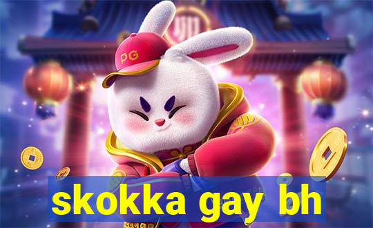 skokka gay bh